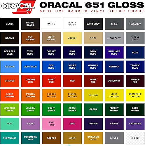 Vinilo permanente Oracal651 - Vinilo adhesivo adhesivo de 12 pulgadas (12 pulgadas x 5 pies, gris)