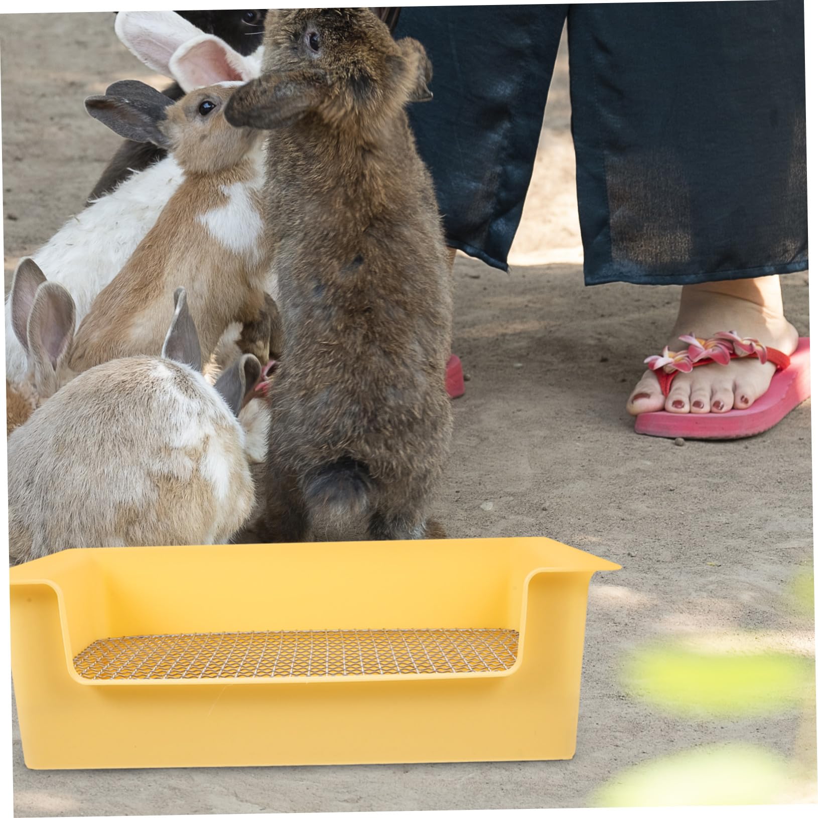 Lettiera per Conigli e Animali con Rimovibile Vasino Truciolo per Criceti e Porcellini d Quadrata Antigoccia per Addestramento Dwarf Rabbit