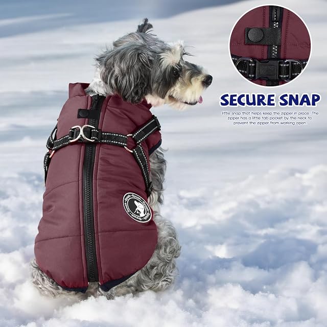 Foto 8 de 8 de Gyuzh Abrigo para perro con arnés, abrigo de invierno para perro, chaqueta de forro polar para perro