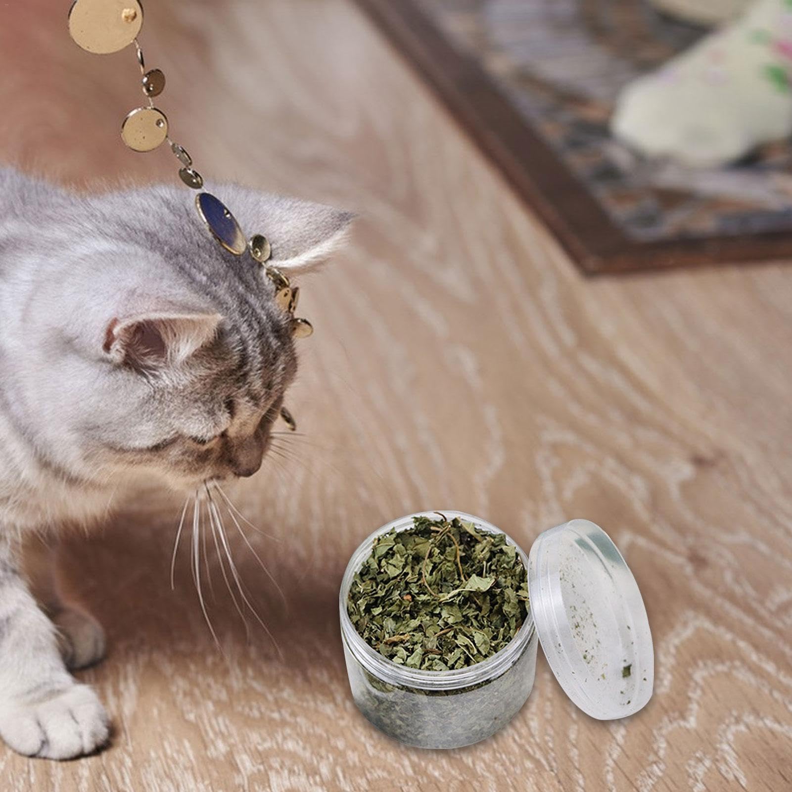 Katzenminze lose - 40g echte natürliche Katzenminze | Echte natürliche Blätter Katzenminze, Gesunde Katzensnacks zur Zahnreinigung, Haarentfernung, Mundgesundheit und Stimmungsregulierung