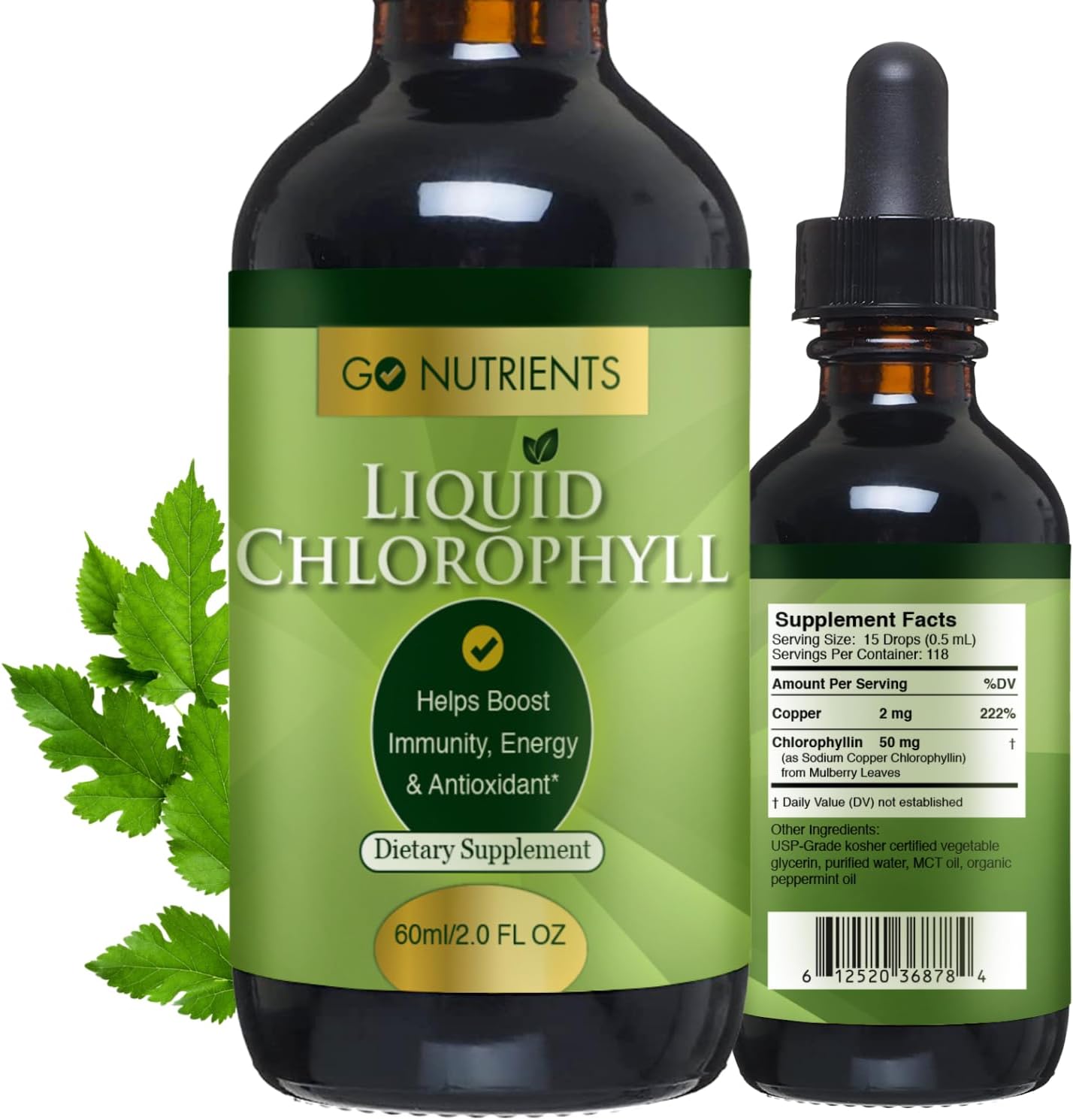 Go Nutrients Liquid Chlorophyll Drops – Organic Mulberry Leaf Extract with Copper – Natural Detox & Internal Deodorant for Women, Men & Kids – Non-GMO, Vegan, Mint Flavor, 2 oz Glass Bottle