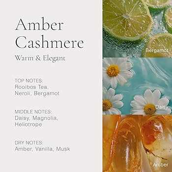 Amazon.com: CLEAN H2EAU Amber Cashmere : Beauty & Personal Care