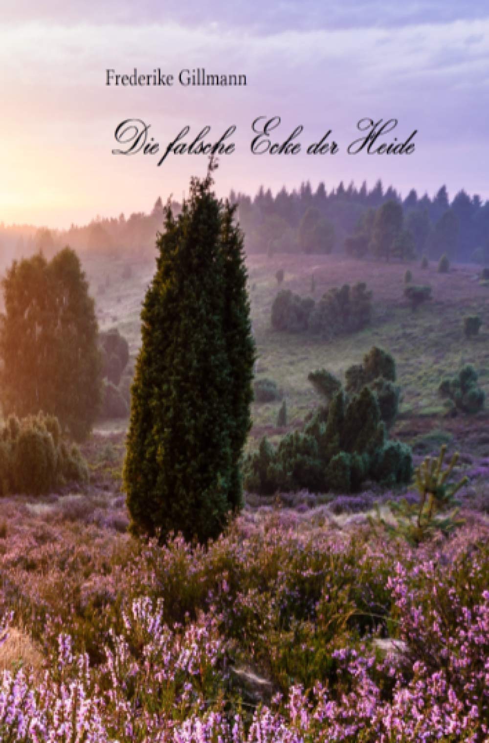 Die falsche Ecke der Heide