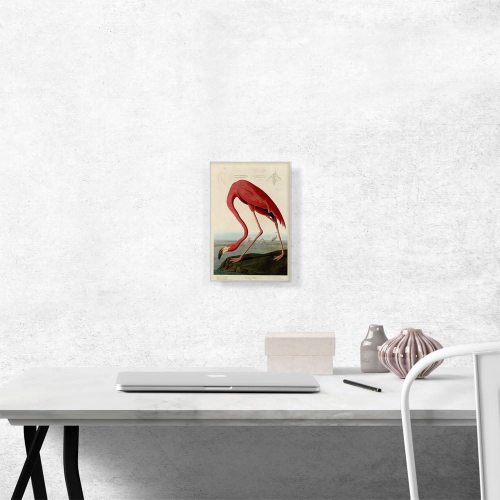 ARTCANVAS American Flamingo Pink Canvas Art Print Stretched Framed Painting Picture Poster Giclee Wall Decor by John James Audubon - 12" x 8" (0.75" Deep)