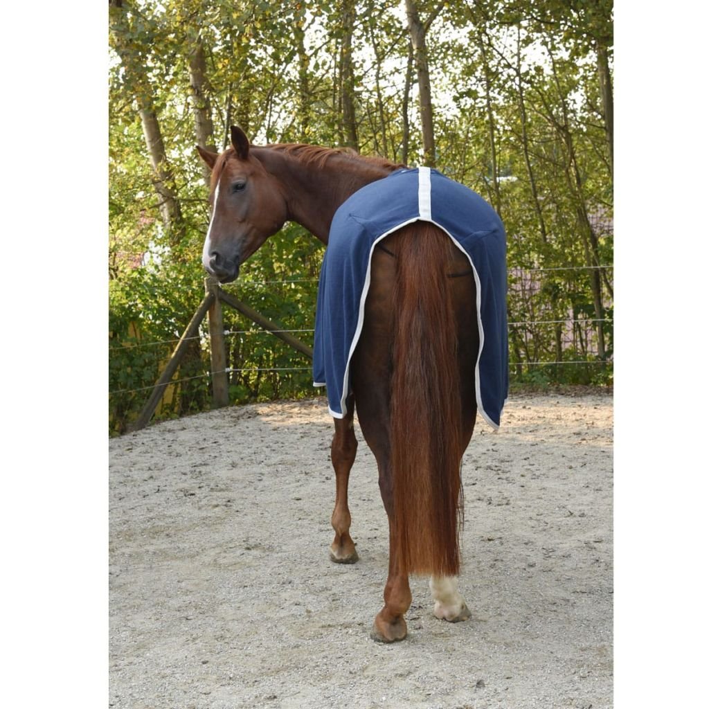 Coperta Antimosche RugBe By Covalliero, Zebrata Con Copricollo, Coperta Anti Eczemi - 2