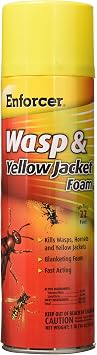 ZEP FWH-16 Yellow Jacket Wasp Control Foam Spray, 16-Ounce