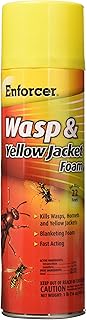 ZEP FWH-16 Yellow Jacket Wasp Control Foam Spray, 16-Ounce