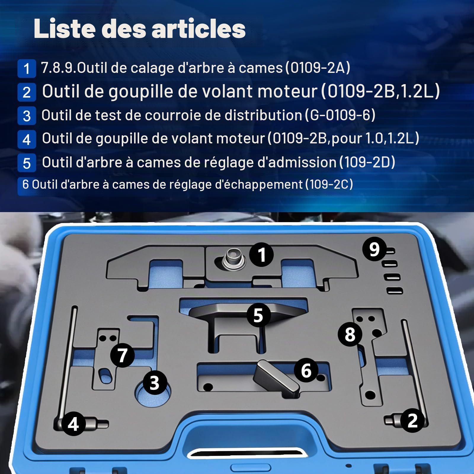 RUIZHI Kit Calage Distribution pour Citroën, pour Peugeot 1.0, 1.2 Vti (VVT) /GDI PureTech Essence, 0109-2A, 109-2C, 109-2D