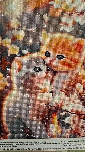 EXQULEG Diamond Painting kit per pittura con diamanti 5D fai da te per