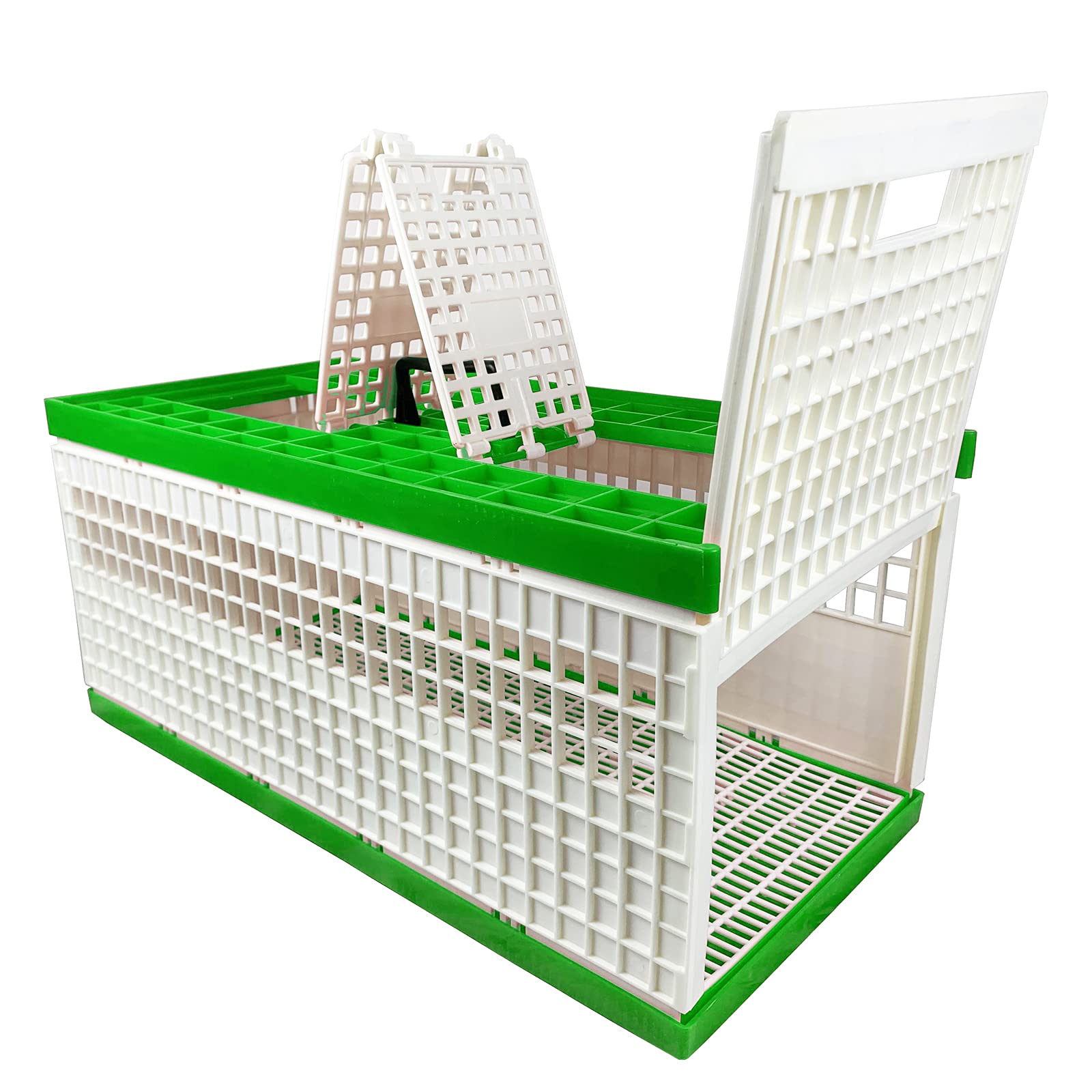 10 Best Large Pigeon Bird Cages for Spacious Housing Hummingbirds Plus