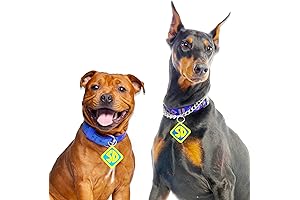 Dog Halloween Costumes 2 Pack Dog Collar Tags Trick or Treat Pet...