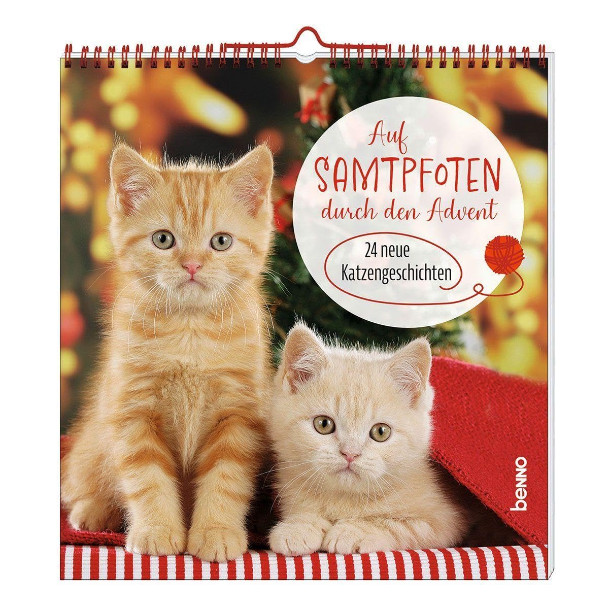 Auf Samtpfoten durch den Advent: 24 neue Katzengeschichten