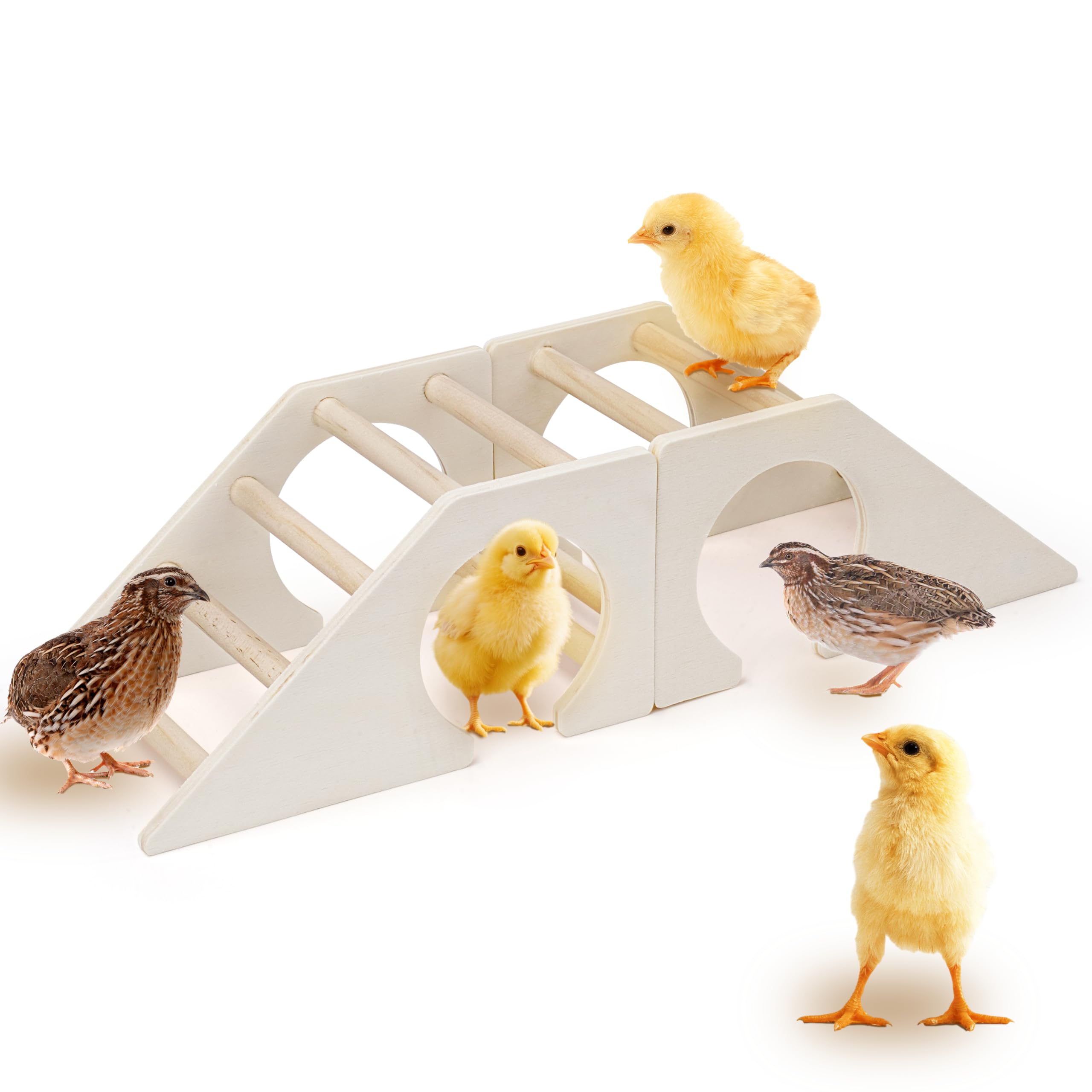 Chicken Perch - for Baby Chicks [No Assembly Required, Pine Wooden Easy to Clean] Chick Roosting Bar for Brooder, Baby Chick Toys, Chicks Play Structure, Suitable for Large Baby Birds