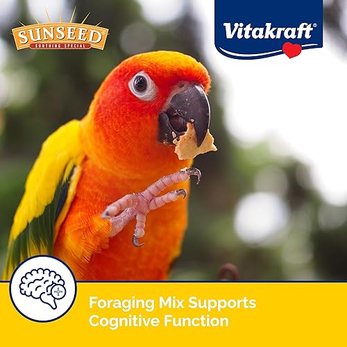 Miniatura 4 de Sunseed Vita Prima Conure Food – Nutrient-Rich Blend with Fruits, Vegetables & Seeds Supports Healthy Feathers, Eyes & Active Energy – 3 lb Bag