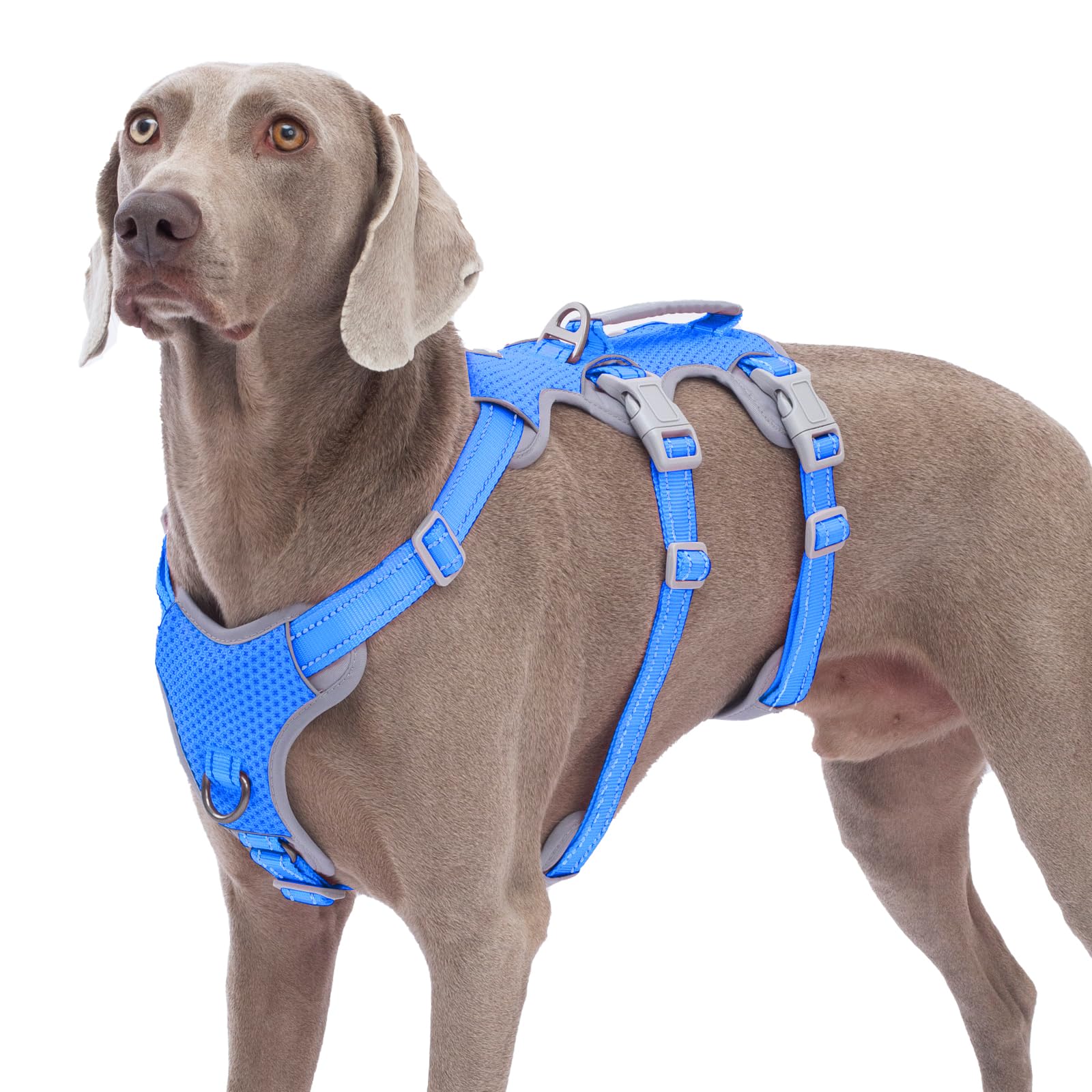 Huntboo Escape Proof Dog Harness, No Pull Reflective Harness with Lift Handle,Adjustable Pet Vest with Front and Back Leash Clips for Small Medium Large Dogs Walking Hiking Training (Sea Blue,L)