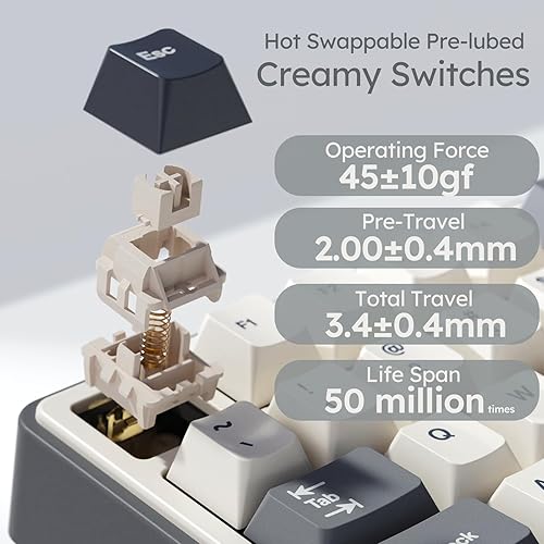 Miniatura 8 de RK ROYAL KLUDGE R87 Pro Teclado mecánico con cable con perilla intercambiable en caliente Teclado para juegos retroiluminado 75% RGB 88 teclas TKL