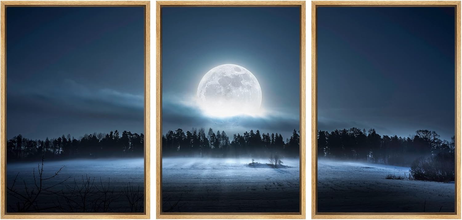 wall26 3 Piece Framed Canvas Wall Art The Moon Rising