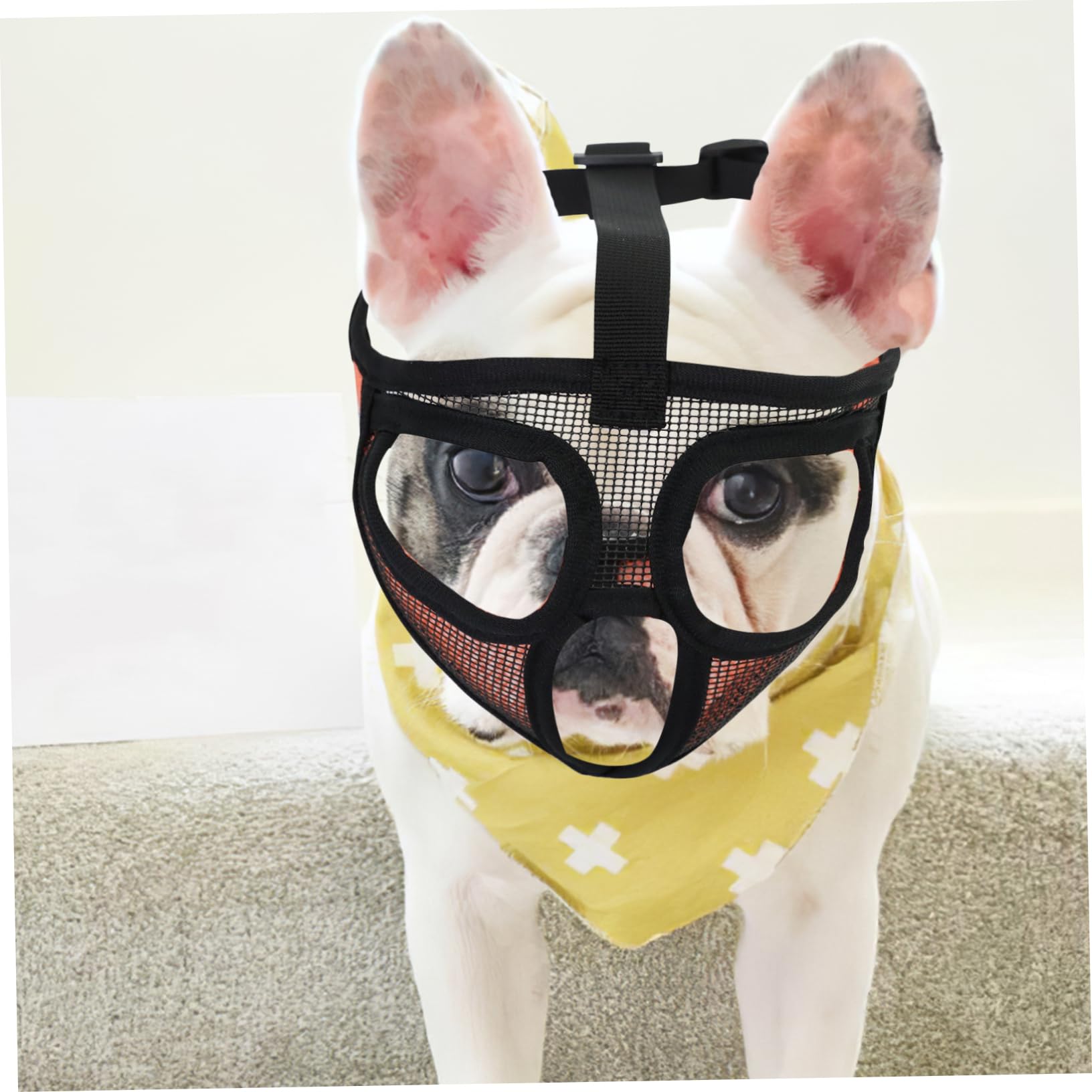 Sosoport 5pièces Muselière Réglable Maille Respirante pour Bulldog Bouche pour Chiens Confort Et Sécurité