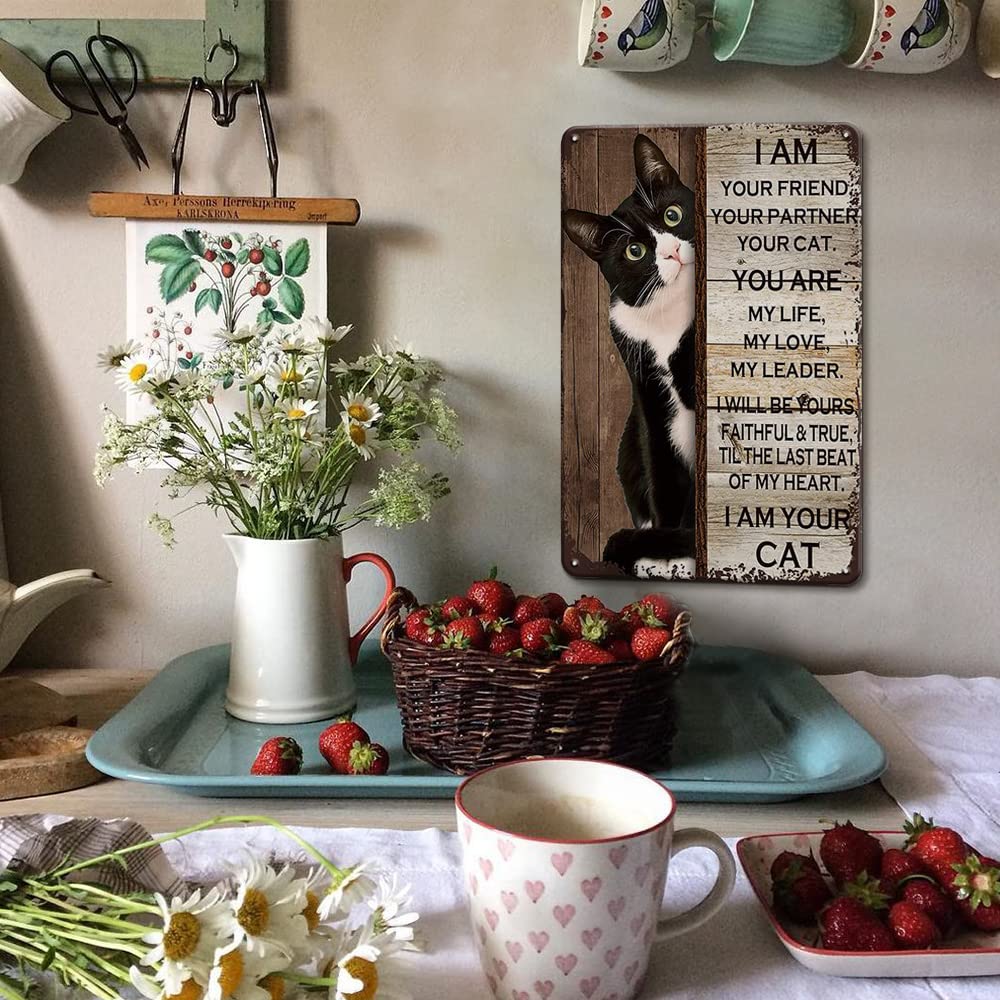 Plaque Métal Vintage Chat En Smoking 30x20cm - Décoration Murale Avec Message Humoristique