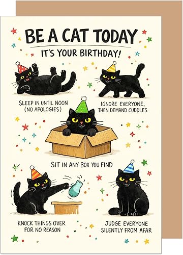 Edition Seidel Premium Birthday Card with envelope. Greeting Happy Birthday for man woman friends cats lover humor (G4246 SW026)
