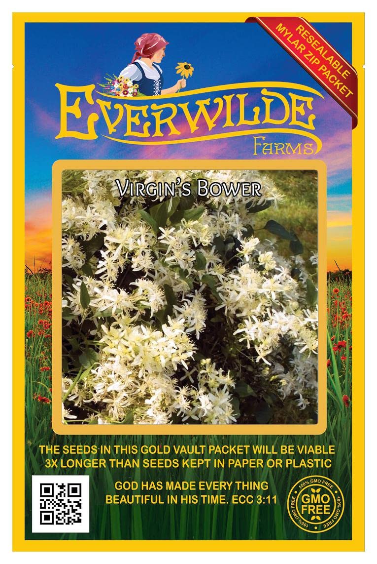 Everwilde Farms - 60 Blue Wild Indigo Native Wildflower Seeds - Gold