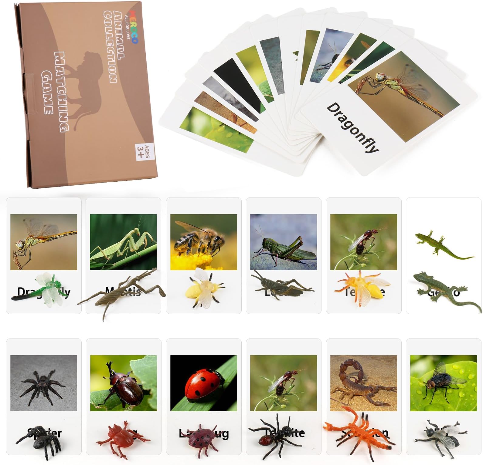 Montessori Animal Match - Insect Animal Figurines with Matching Cards Language Montessori Materials Preschool Learning Toy NEWT008