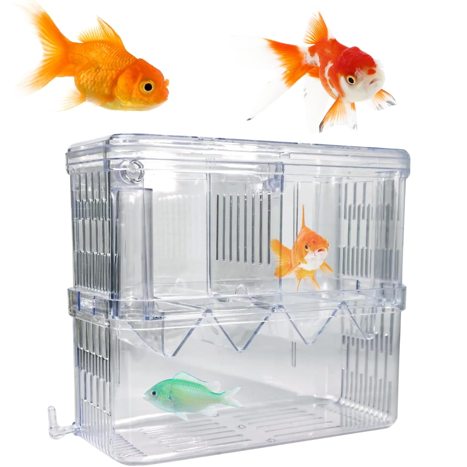 DreamAuro Fish Isolation Chamber, Aquarium Separation Solution, Safe Aquarium Dividing, Adjustable Enclosure, Tank Partition, Fish Quarantine Zone, Aquarium Safety Gear. (B0D1Q91KYZ) Amazon Price History, Amazon Price Tracker