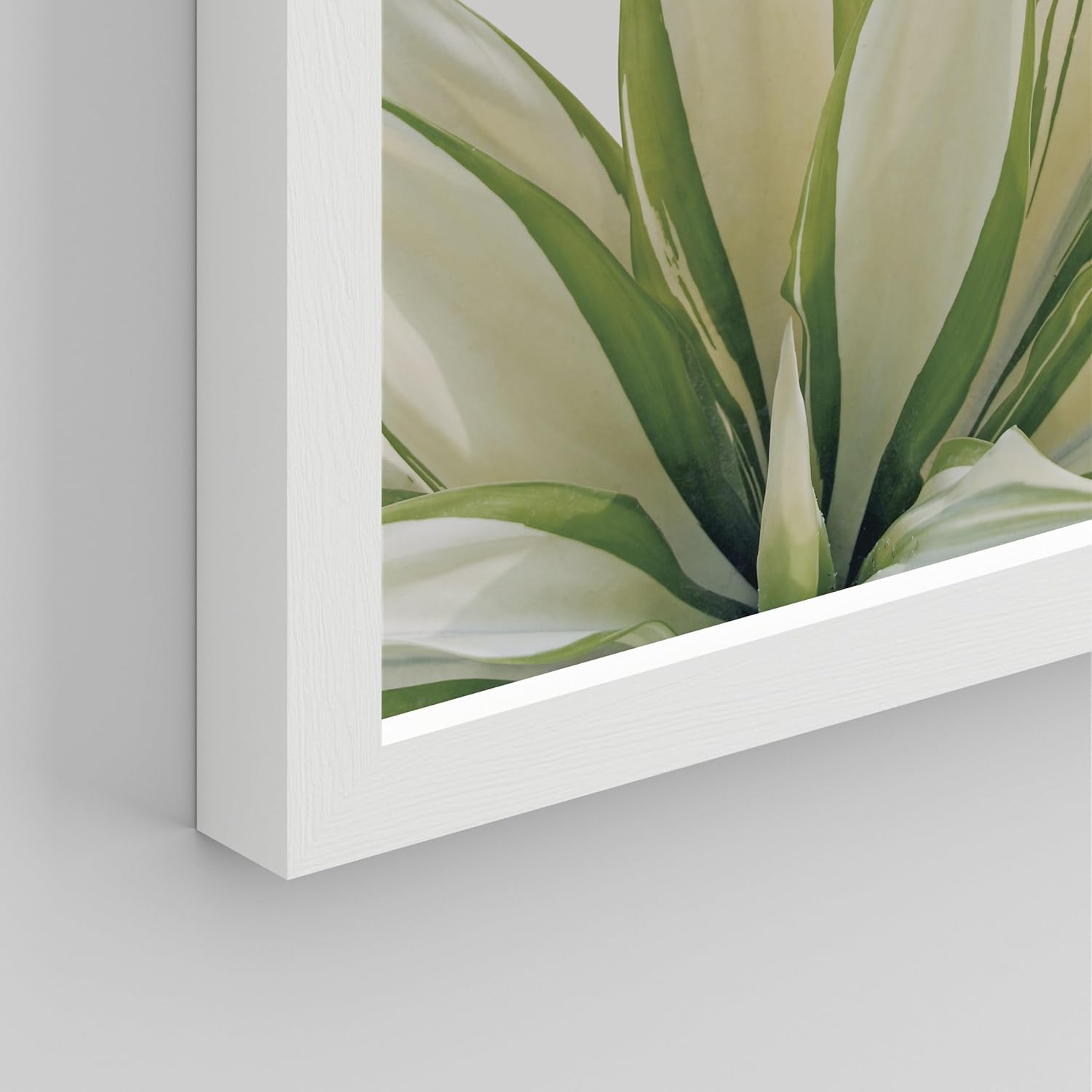 SIGNWIN Framed Tropical Succulent Wall Art, Close Up Green Fan Leaf Desert Wall Decor Prints, Nature Wilderness Wall Décor for Living Room, Bedroom - 11"x14" White