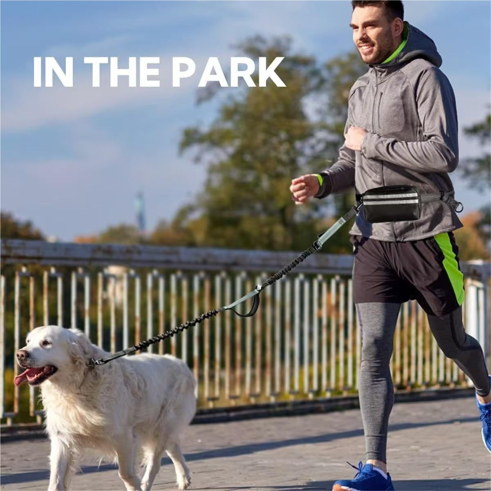 Laisse Mains Libres pour Chien avec Ceinture, Laisse Élastique À Poignée Simple Ou Double avec Pochette pour Promener(Blue,Double)