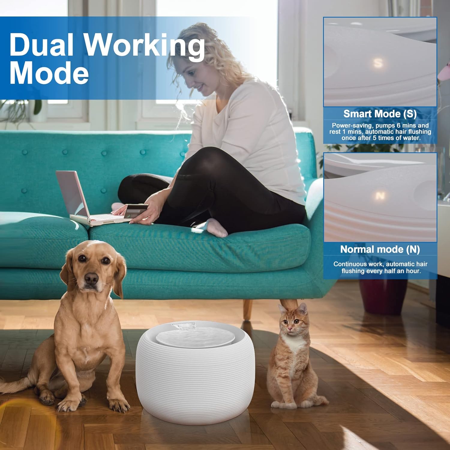 Cat Water Fountain, 84oz/2.5L Pet Water Fountain for Cats Inside, Ultra Quiet Automatic Cat Water Dispenser, Silent Pump with Dry-Run Protection, Dual Mode for Cats, Small Dogs : Pet Supplies