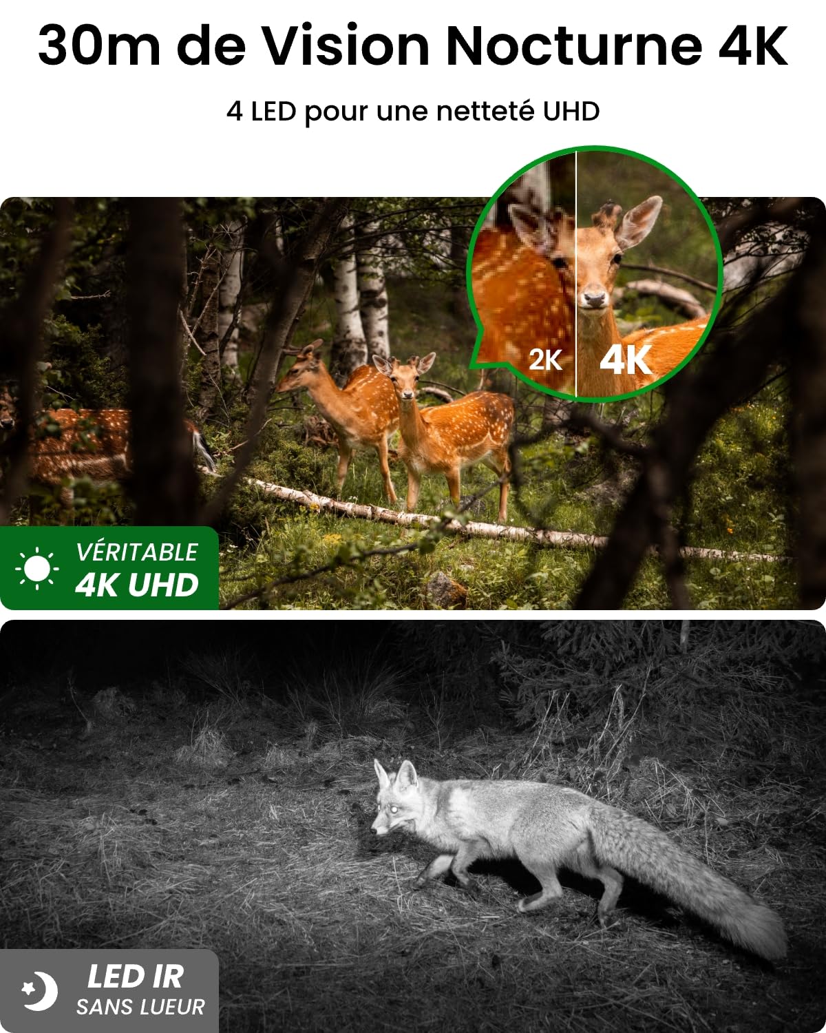Reolink 4K 4G LTE Camera Exterieur avec Carte microSD 32 Go, Go Ranger PT