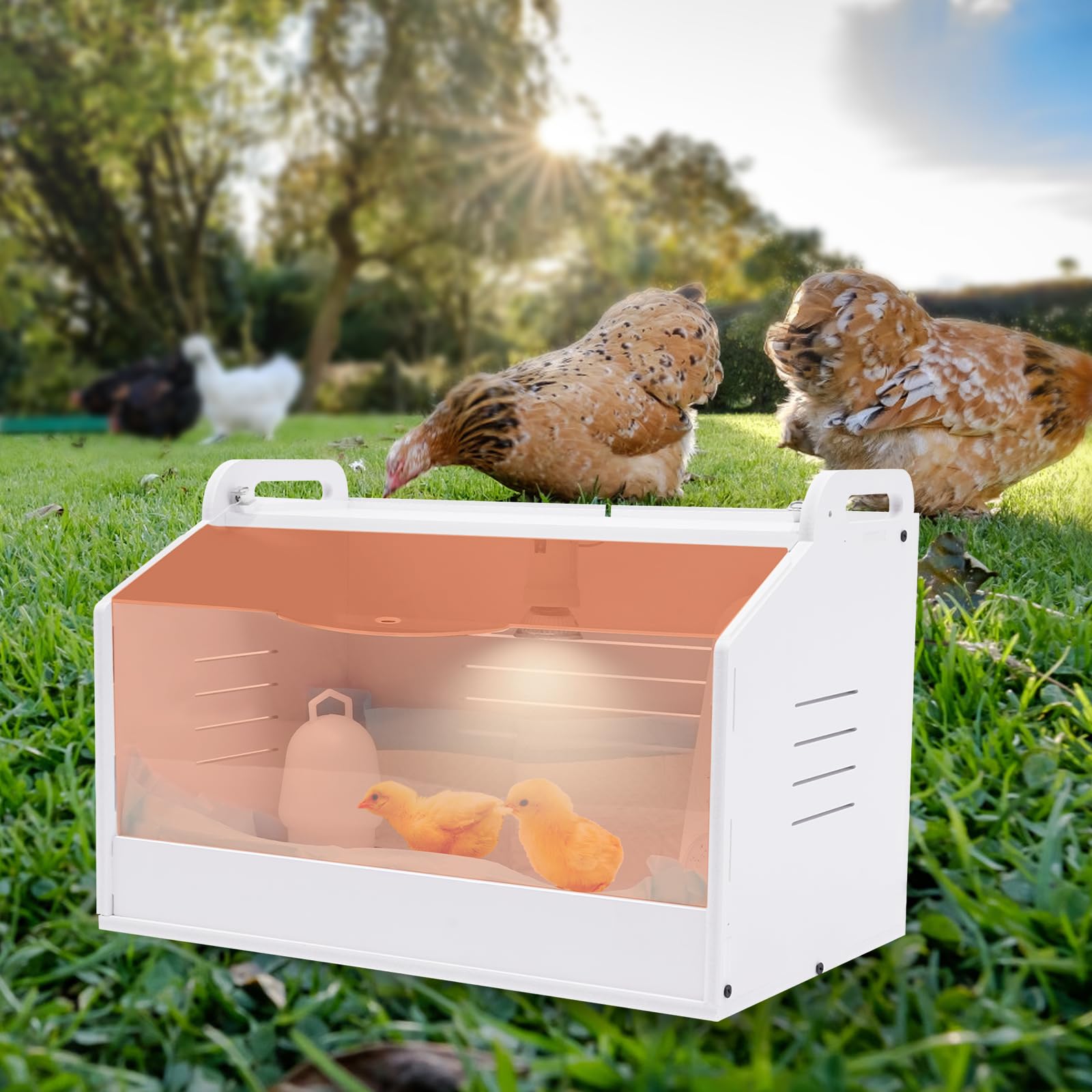 Incubadora de pollos de aves de corral, equipo de pollito, caja de cría de pollitos con termómetro, juego completo de animales pequeños para patos de gallina y pájaros