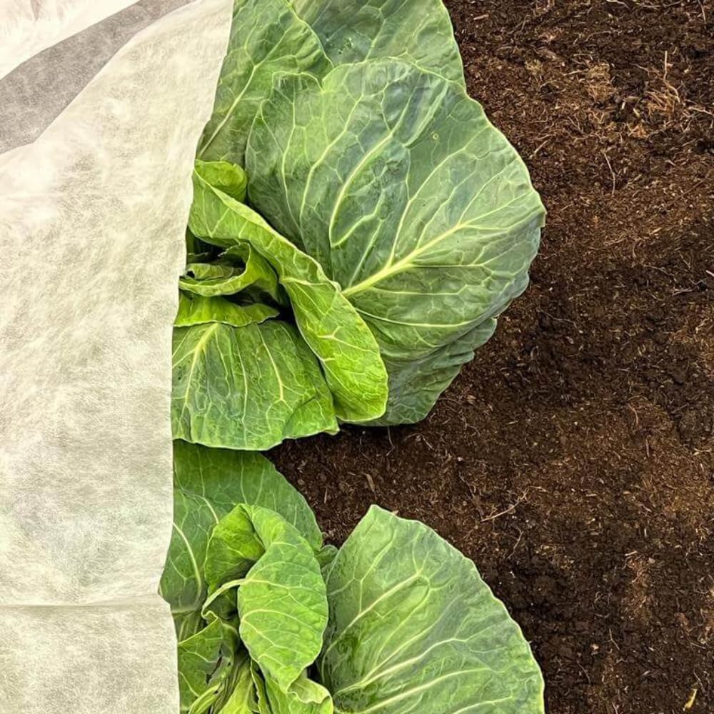 BioFleece Biodegradable Frost Protection Garden Fleece for Plants | Heavy-Duty Plant Cover for Cold Weather Down to -5°C | Available in 2m Width, Multiple Lengths (18gsm 2m x 10m)