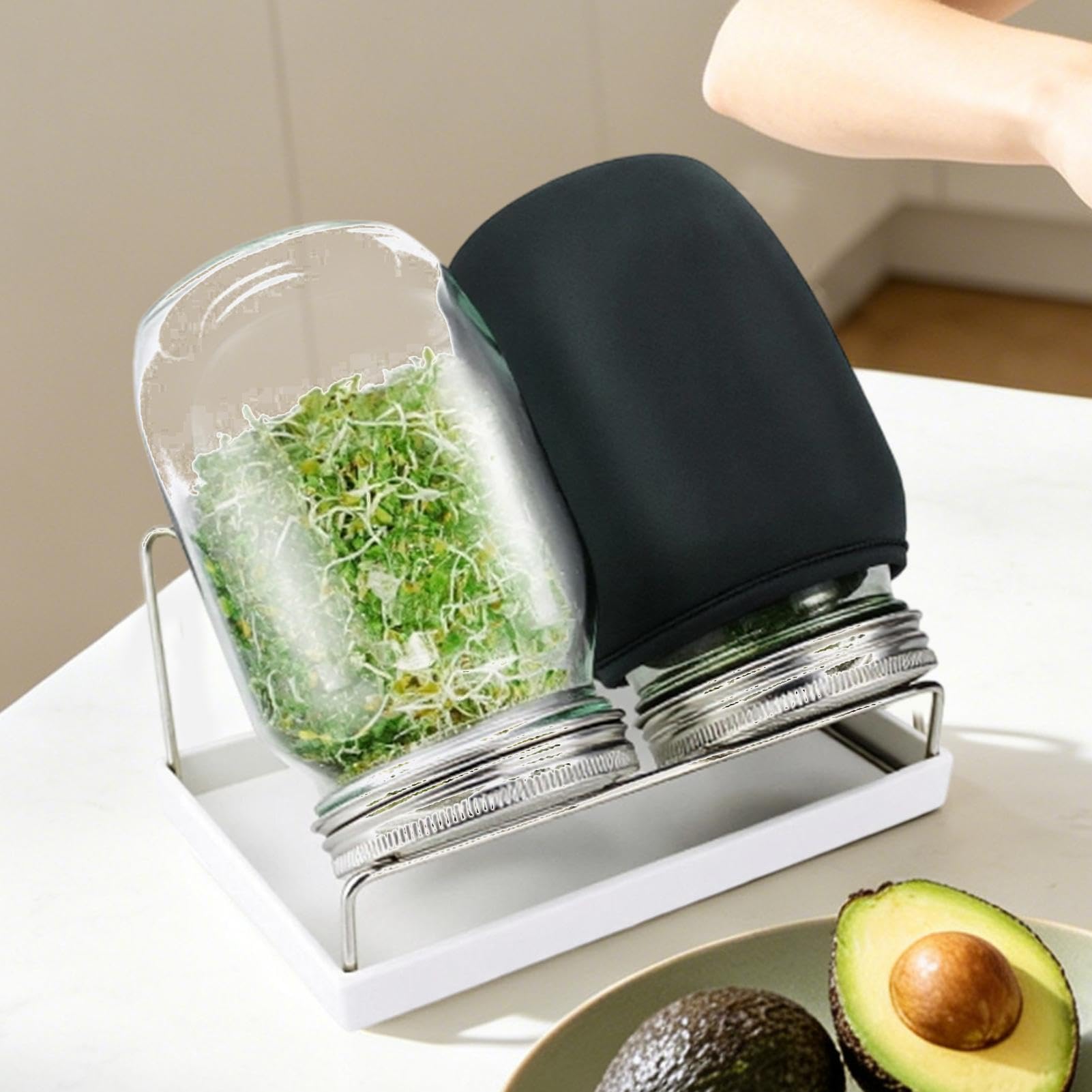 Frasco Germinador Brotes Ancha Con De Malla De Acero Inoxidable | Kit De Germinación Múltiples Tarros Para Hogar Cocina Sala De Estar Balcón Legumbres Frutos Secos Granos Brócoli