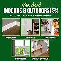 Vista 5 de Spray repelente de arañas con aceite de menta de Mighty Mint – Control natural de insectos para interiores y exteriores para arañas e insectos