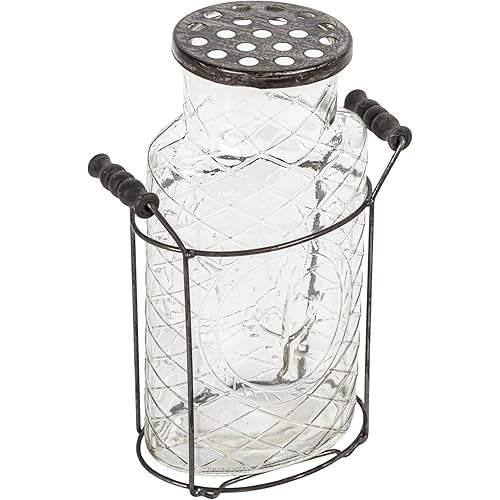 Creative Co-Op Glass vase in Metal Stand with Metal Frog Lid