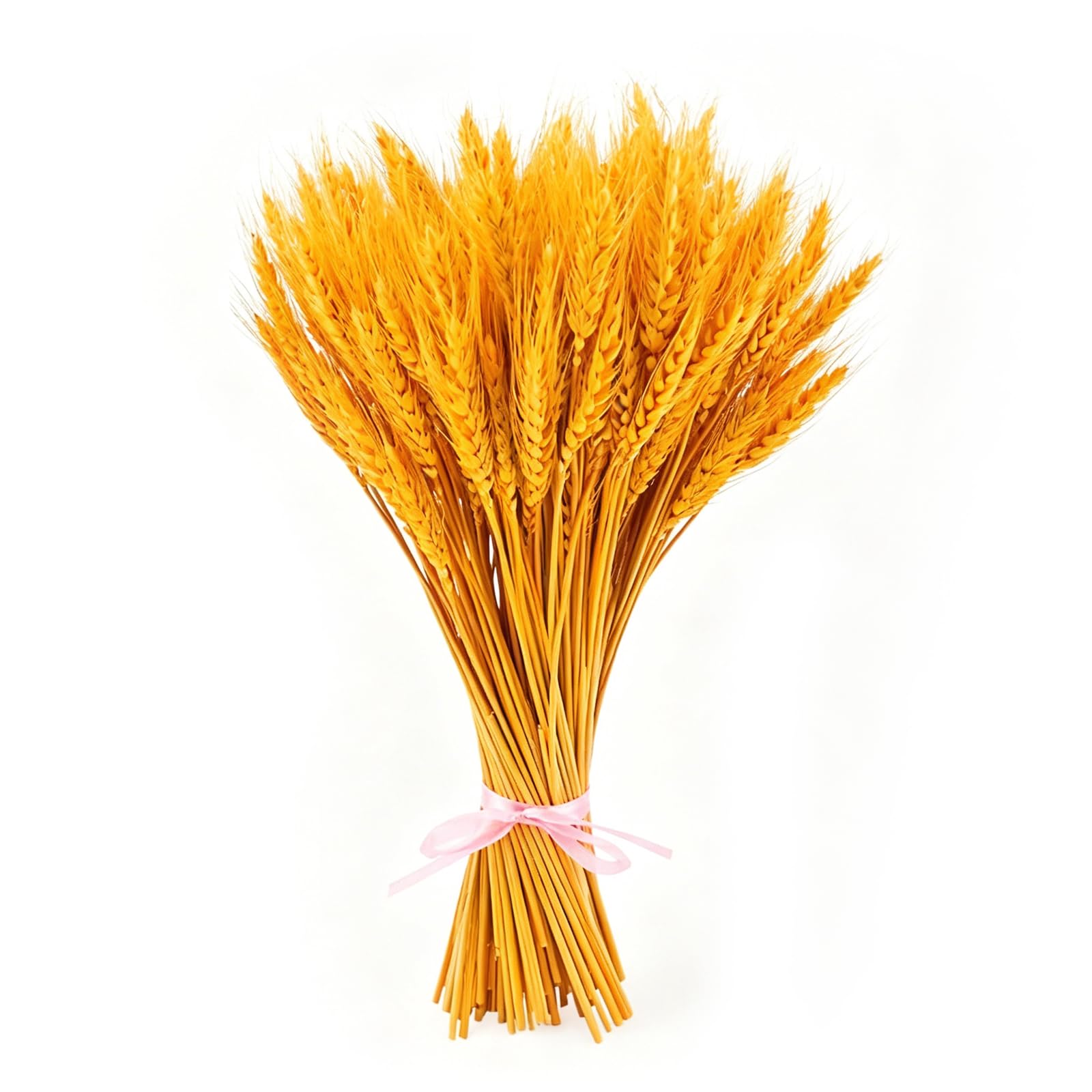 XHYASD Trockenblumen 100 Stück Weizen 40 cm Goldgelb Hochzeit Deko | getrocknete Pflanzen, für Vase und Tischdeko, DIY Basteln, Boho Arrangement, kombiniert mit Pampasgras