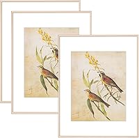 Vista 8 de Juego de 4 marcos de fotos de 4 x 4 pulgadas, color negro mate, diseño simple y moderno, de aluminio cepillado delgado, cuadrado, para fotos de 3 x