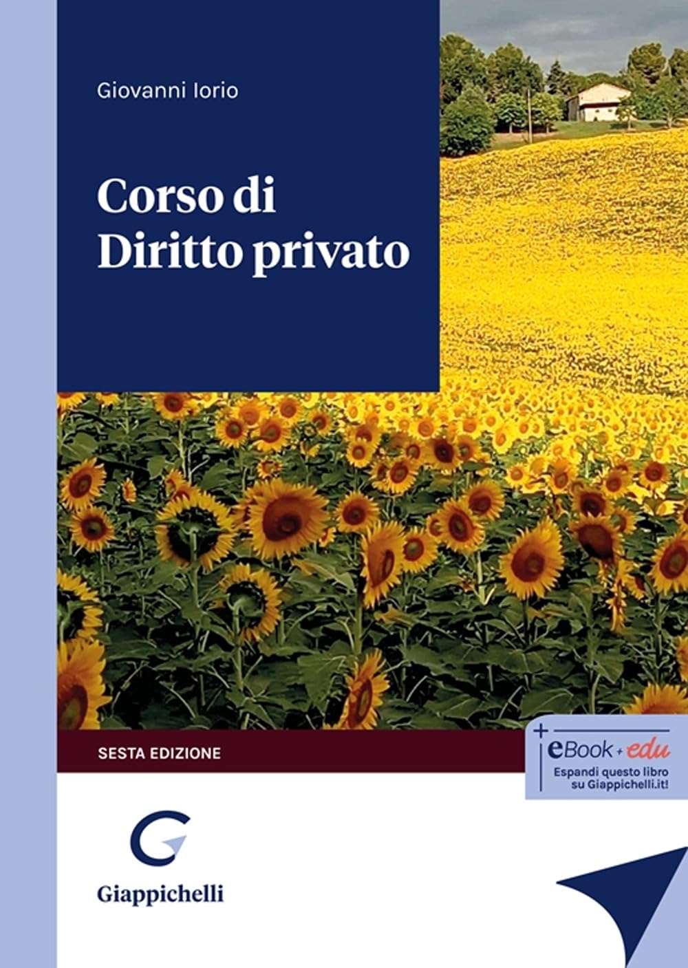 Corso Di Diritto Privato - 4