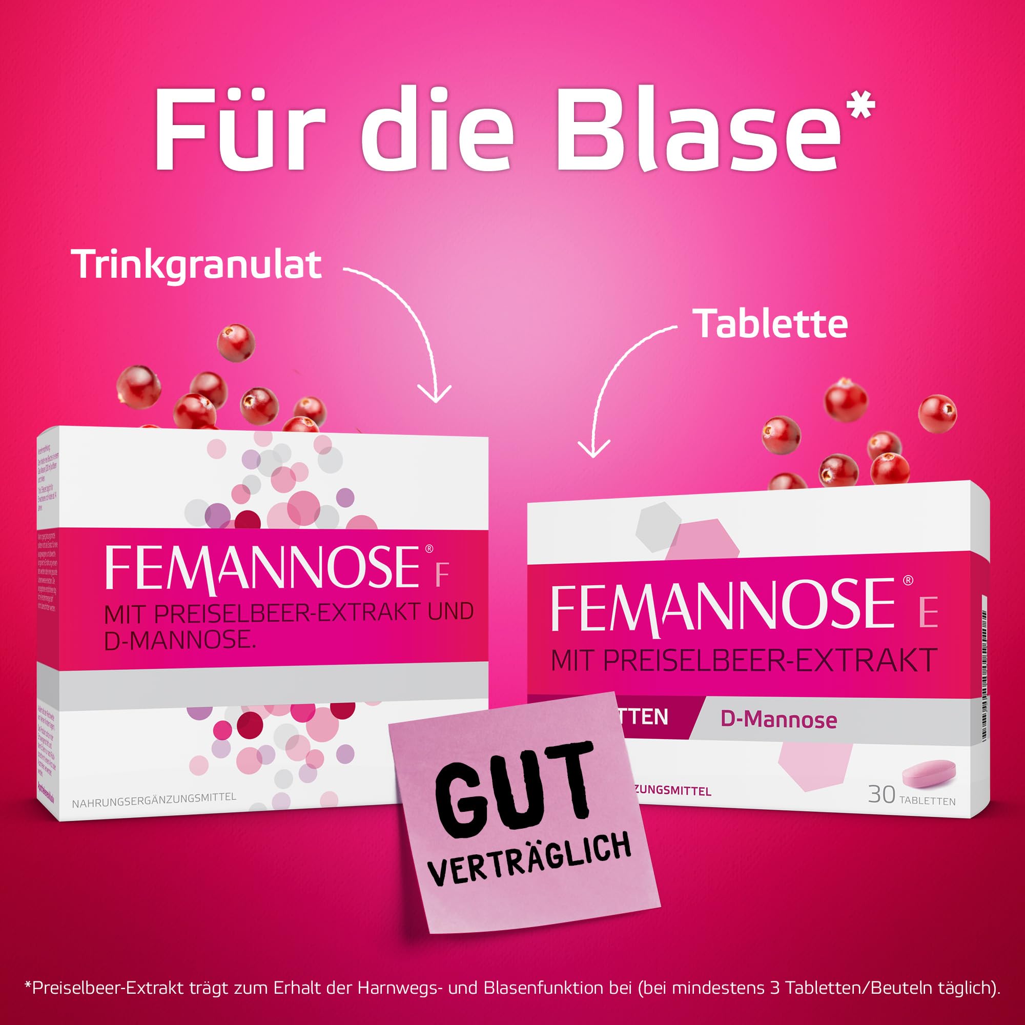 FEMANNOSE F 60 x Trinkgranulat mit 2.000 mg D-Mannose und Preiselbeer-Extrakt für die Blase | vegan, laktosefrei, glutenfrei | Blasengesundheit | gut verträglich (240 g (1er Pack))