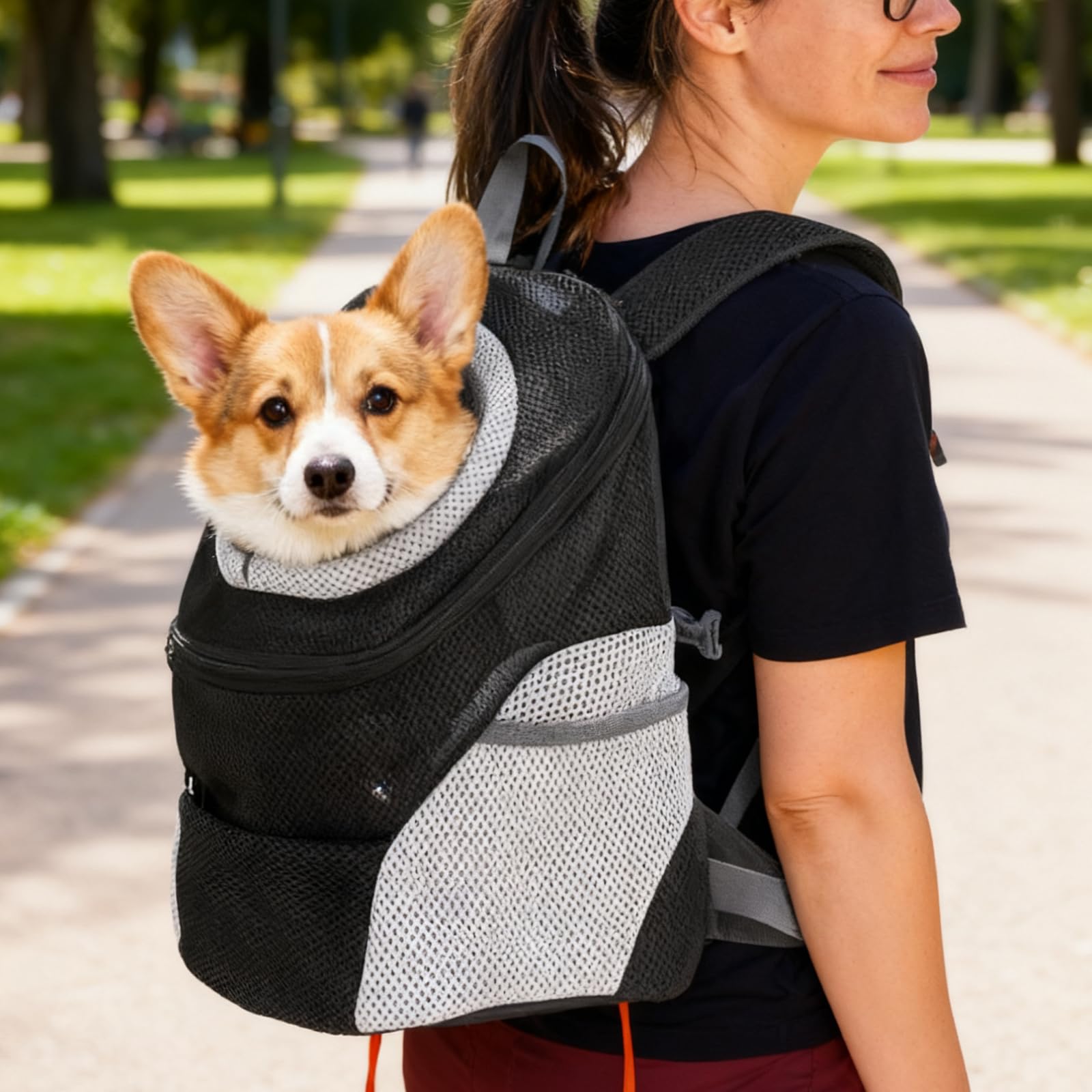 Mochila transportadora para perros: 34 x 30 x 16 cm, color negro, plegable, mochila para mascotas para perros pequeños y gatos, mochila para mascotas de 1 a 5 kg, bolsa para cachorros