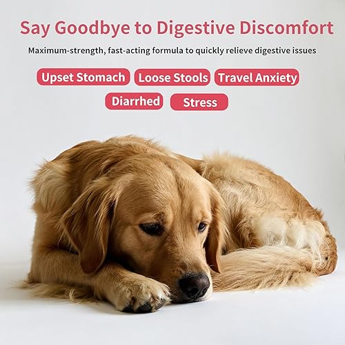 Miniatura 4 de Suplemento antidiarreico para perros, antidiarrea para gatos, pasta probiótica de caolín y pectina, apoyo digestivo de acción rápida, probiótico