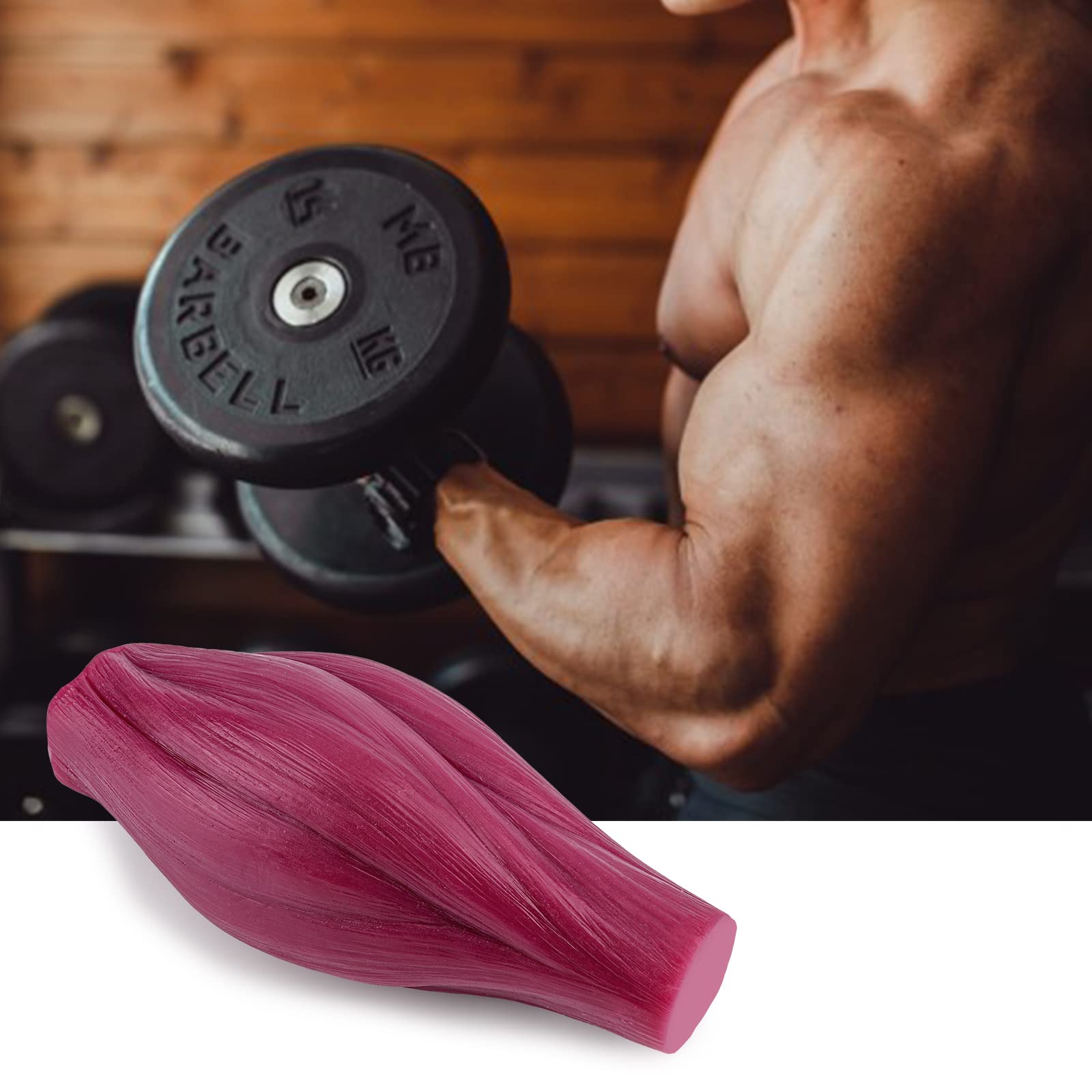 Replica di grasso corporeo umano 1 libbre con base di visualizzazione e replica muscolare 1 libbre, mantenere in forma e perdita di peso motivazione e promemoria per studenti di anatomia e fisiologia