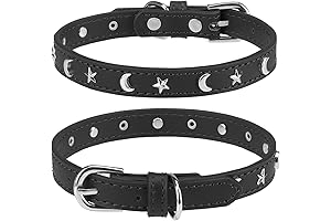 Celestial Dog Collar: Starry Nights for Your Furry Friend