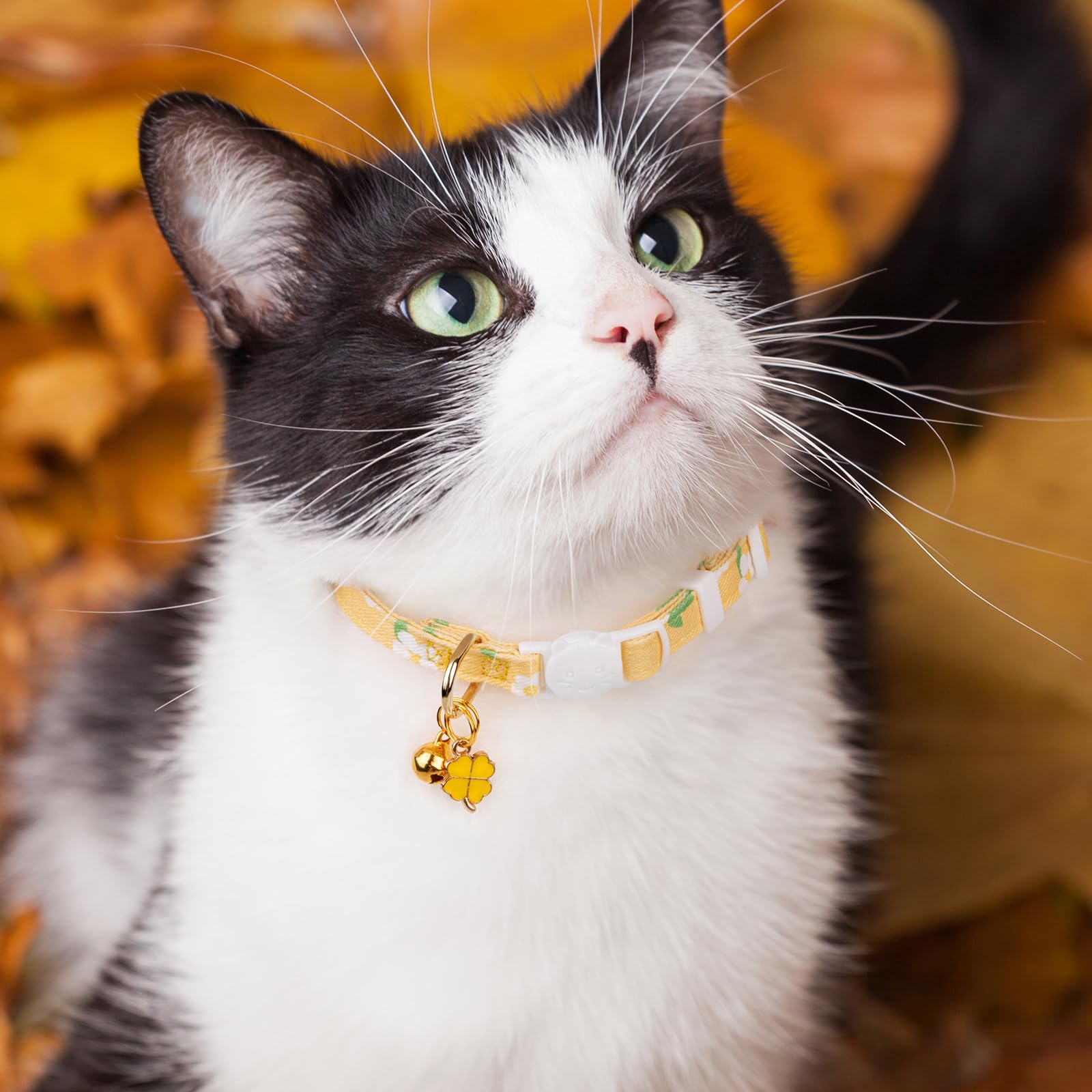 Paquete de 2 collares de algodón para gatos, colgante de flores verdes y amarillas, collar de gato lindo con campana, ideal para niñas, gatos, niños y gatos