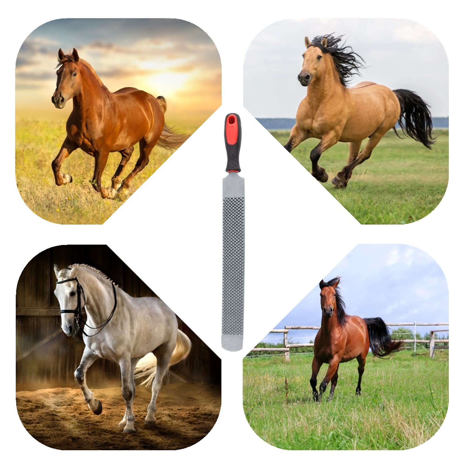 Coltello Raspa Attrezzi per Zoccolo,47CM Zoccolo per Cavallo Zoccoli Maniscalco per Cavalli Raspa Professionale per Zoccoli Trim Zoccoli di Cavallo