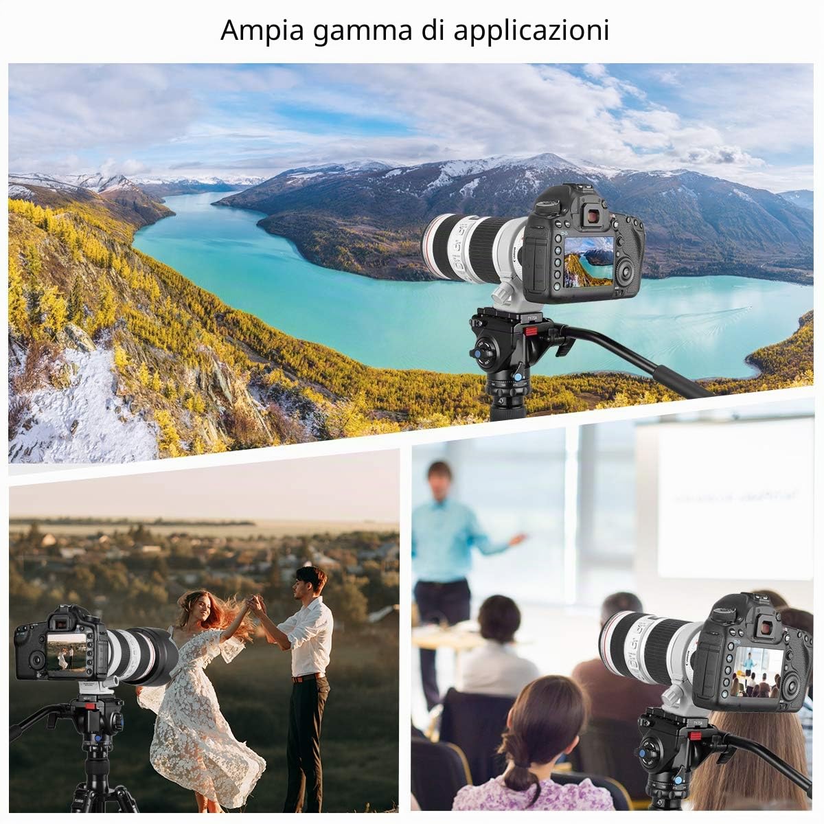 Testina video fluida SIRUI con piastra a sgancio rapido Carico massimo 3 kg 360 gradi Compatibile Arca Swiss (AM-5V)
