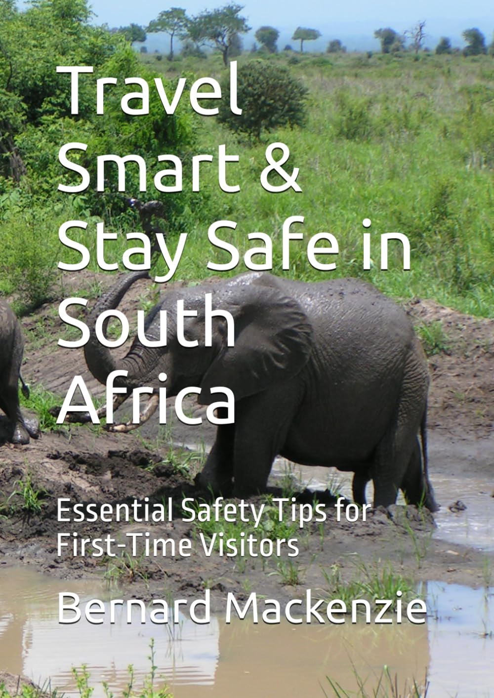 Travel Smart & Stay Safe in South Africa: Essential Safety Tips for First-Time Visitors
