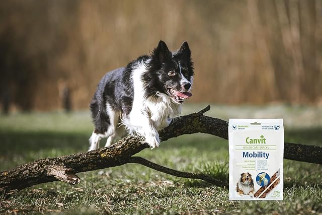 Foto 7 de 8 de Canvit Recompensa de movimiento saludable para perros, 200 g