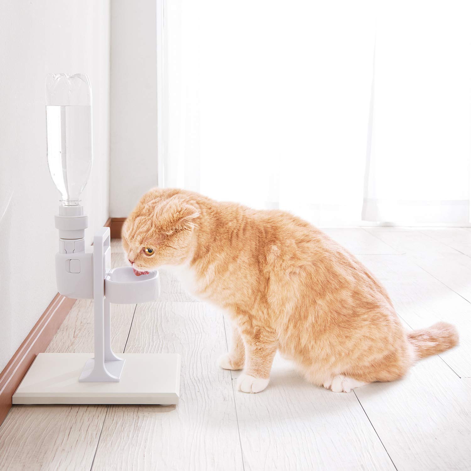 Amazon | ジェックス GEX ピュアクリスタル ドリンクボウル専用